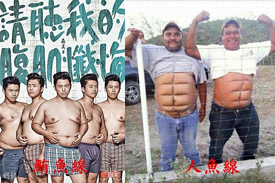 示意圖(截至網路圖片修改)