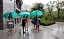 居家室內濕氣重只靠除濕機? 這幾招更有用